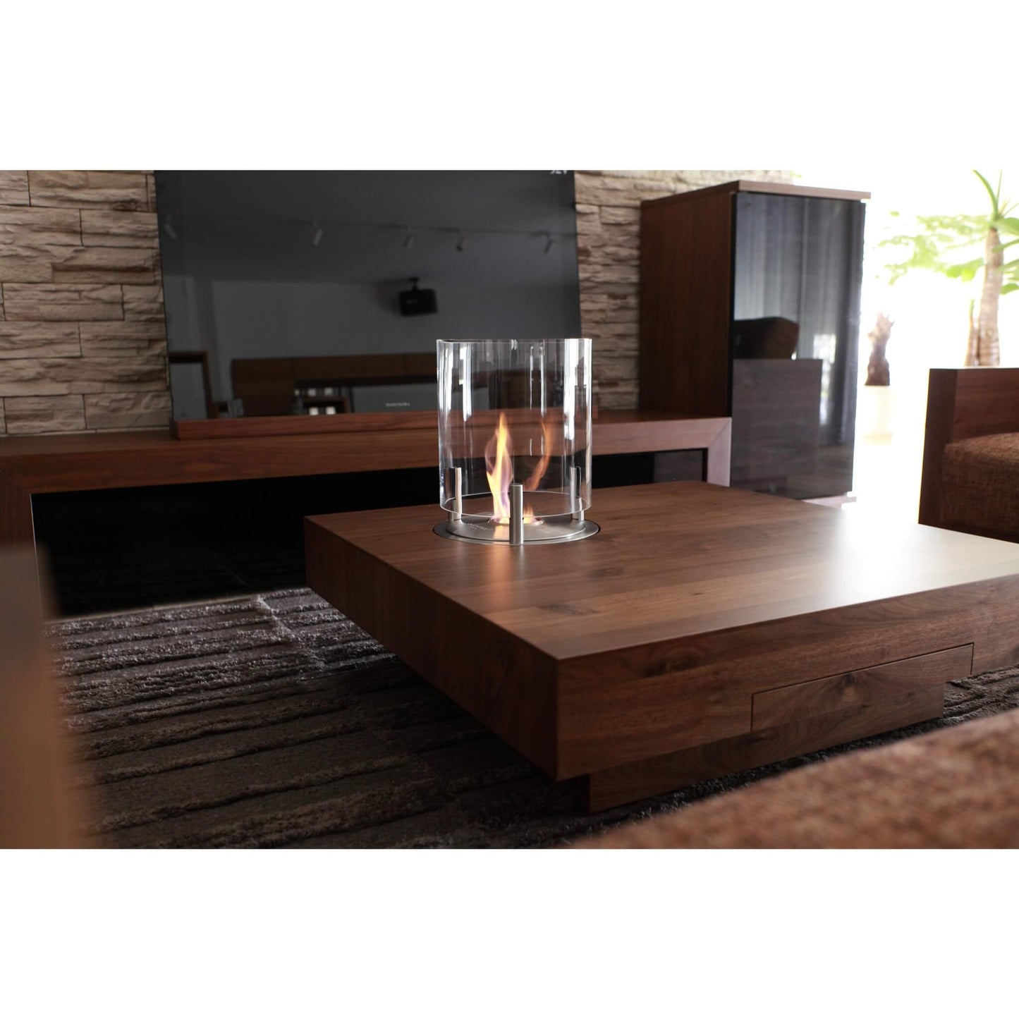 Modern living room with a wooden coffee table and glass fireplace.