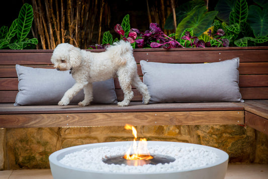 Five Reasons an EcoSmart Fire Bioethanol Fire Pit is the Perfect Addition for Your Garden